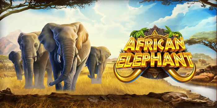 Strategi Anti Boncos Slot African Elephant Gac